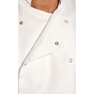 Giacca Bianca Da Chef A Manica Corta Modello Cumbria | Codice C733B 2