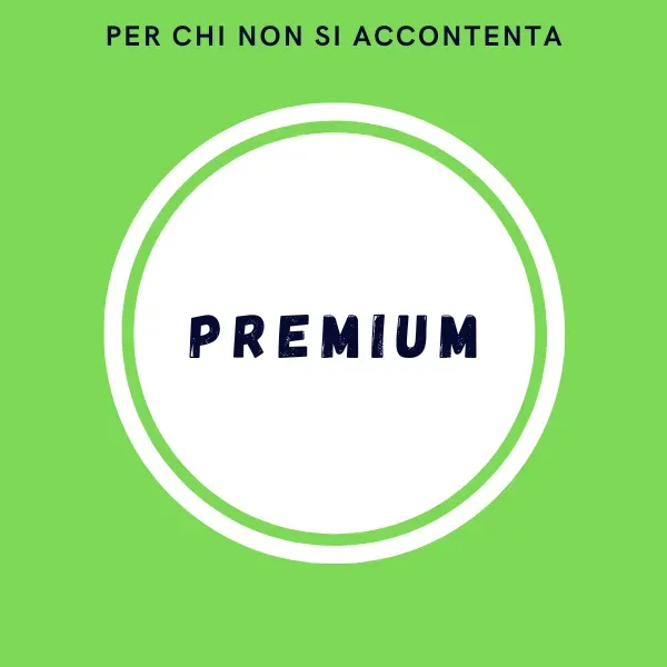 Scarpe Antinfortunistiche Premium