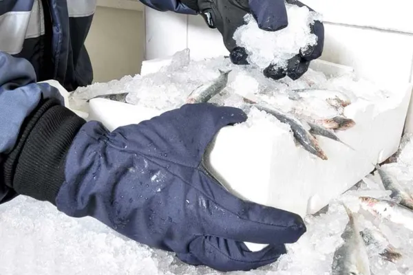 Guanti da Lavoro Invernali